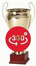 Купить кубок 2520