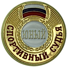 Купить Значок ZSJ